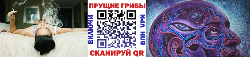 купить  сайты  Бежецк  Псилоцибиновые грибы мицелий 